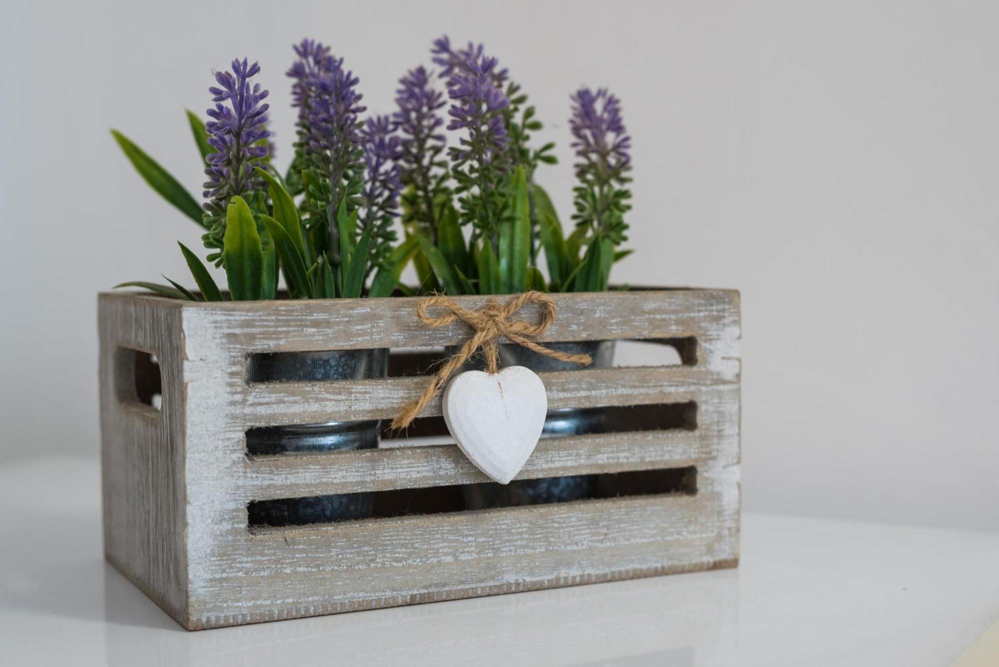 Travelershome Ciampino 170 Station Street Zewnętrze zdjęcie